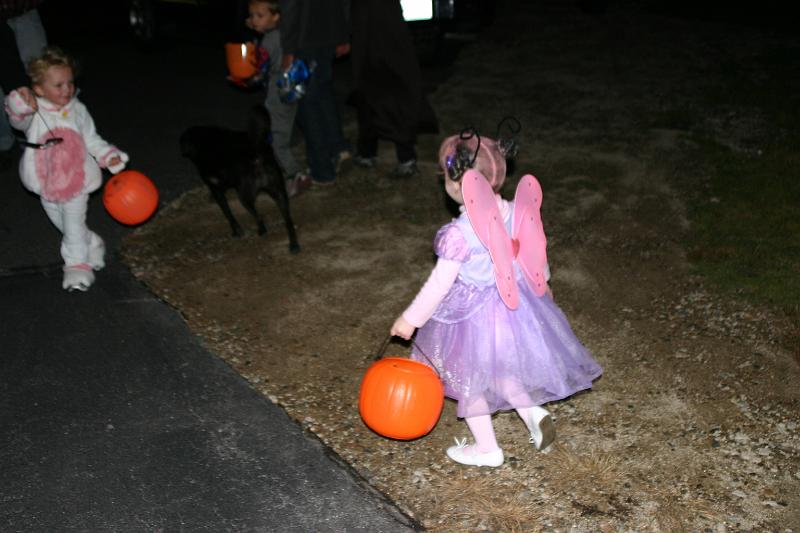 Picture 379.jpg